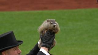 The 2026 MLB Season is Confusing People