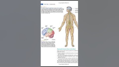 Neuroscience: Exploring the Brain #anatomy #biology #medicine #science #psychology