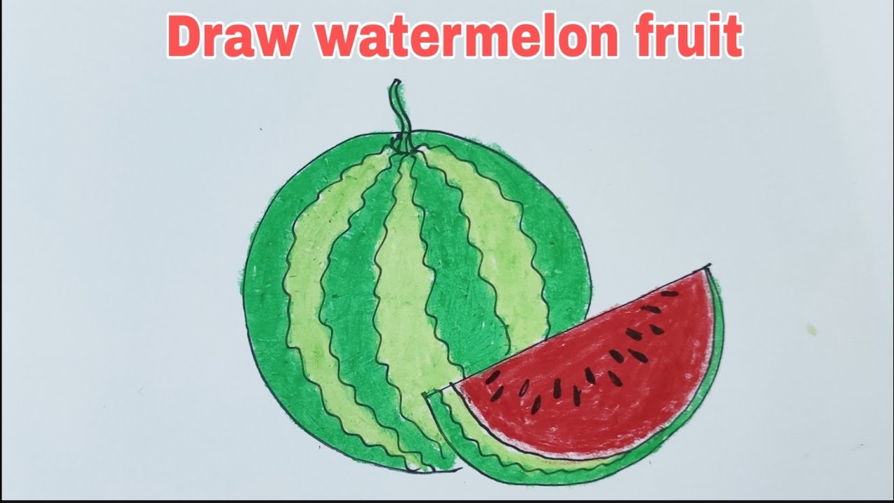 How to draw watermelon | Vẽ quả dưa hấu | ART Thao162 - YouTube