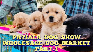 Wholesale DOG MARKET at Patiala Dog Show, Punjab | Part1 | Husky, Labrador, Retreiver, Pom, Shihtzu