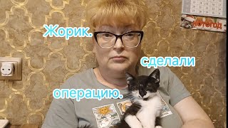 Жорик. Сделали операцию. 