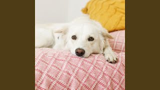 Gentle Bark Melody