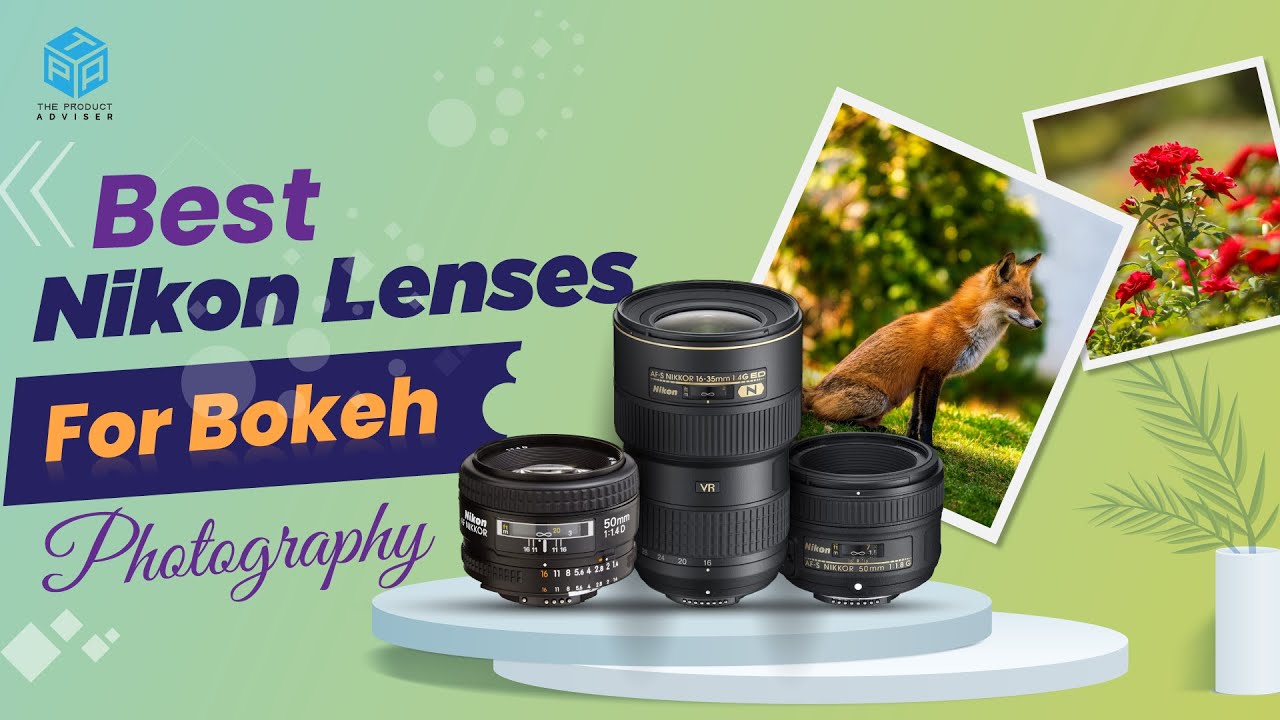 10 Best Nikon Lenses For Bokeh 2023 Best Lens For Blurred Background