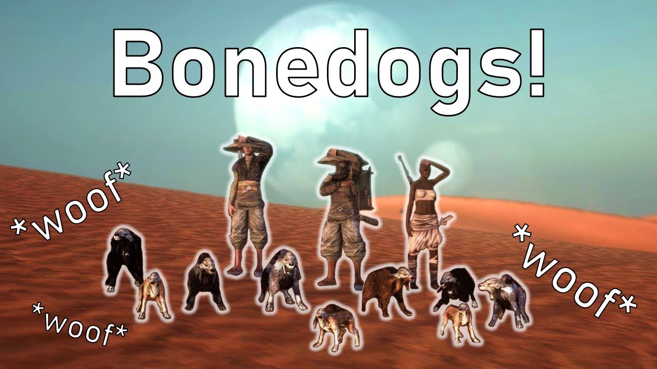 Breaking Kenshi with Bonedogs Bonedogs Everywhere [Kenshi] YouTube