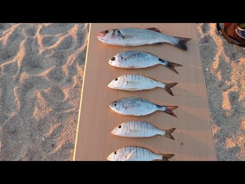 Βίντεο: Πώς να μαγειρέψετε ψάρια κάτω από ένα γούνινο παλτό