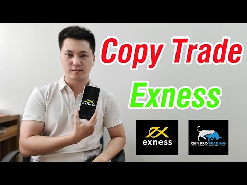 Forex copy trader terbaik