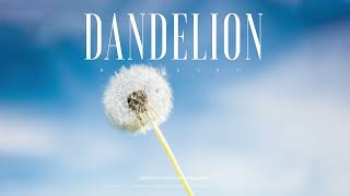 #195 Dandelion (Official)