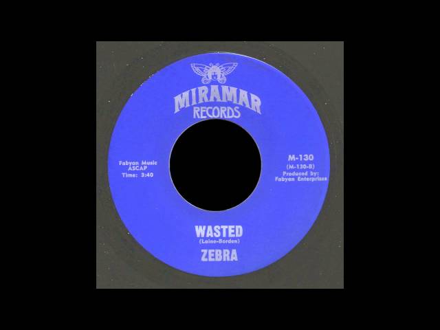 Zebra - Wasted