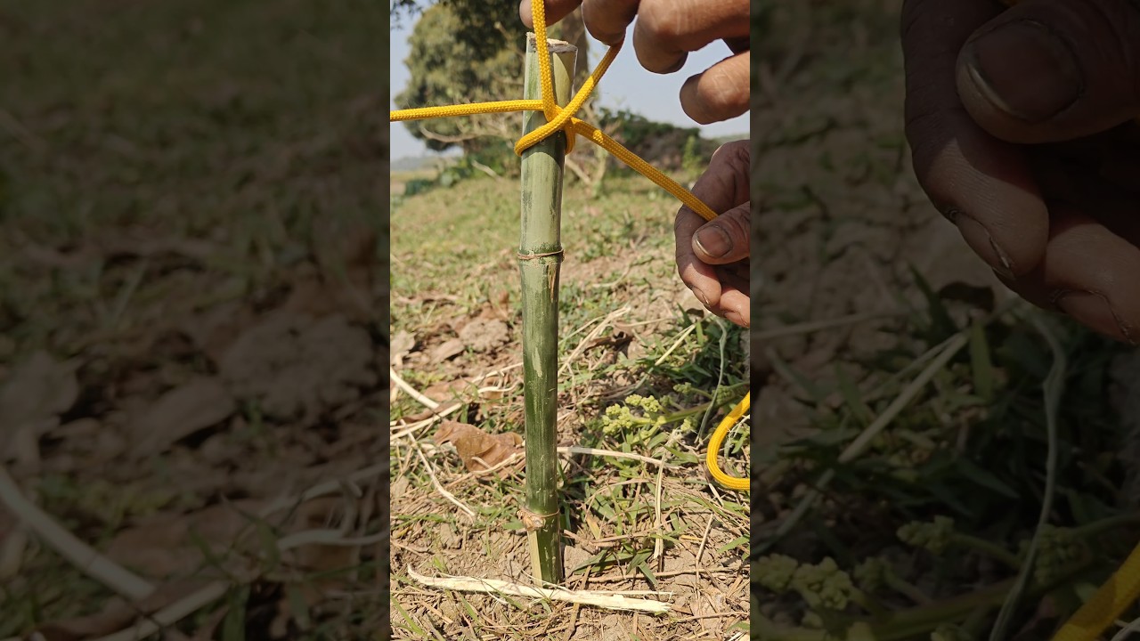 Simple Outdoor Rope Trick You Should Know 