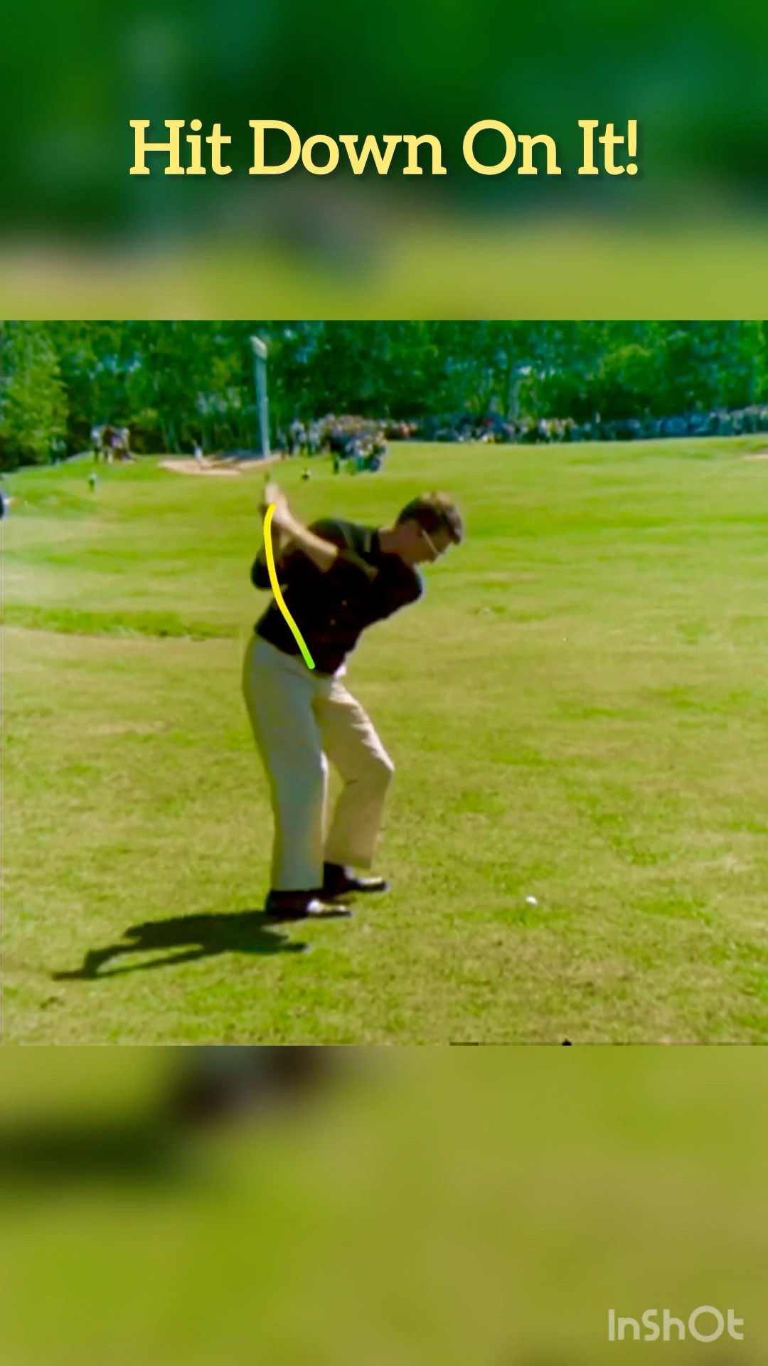 This is how you hit a wedge! George Knudson, OTT Master. #golf #golftips #ott #miracleswing