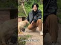 新しい命を授かった可愛いワンちゃん。これからは笑顔で、幸せに過ごせますように。