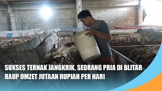 Successful Cricket Farming, Man in Blitar Earns Millions of Rupiahs in Turnover per Day