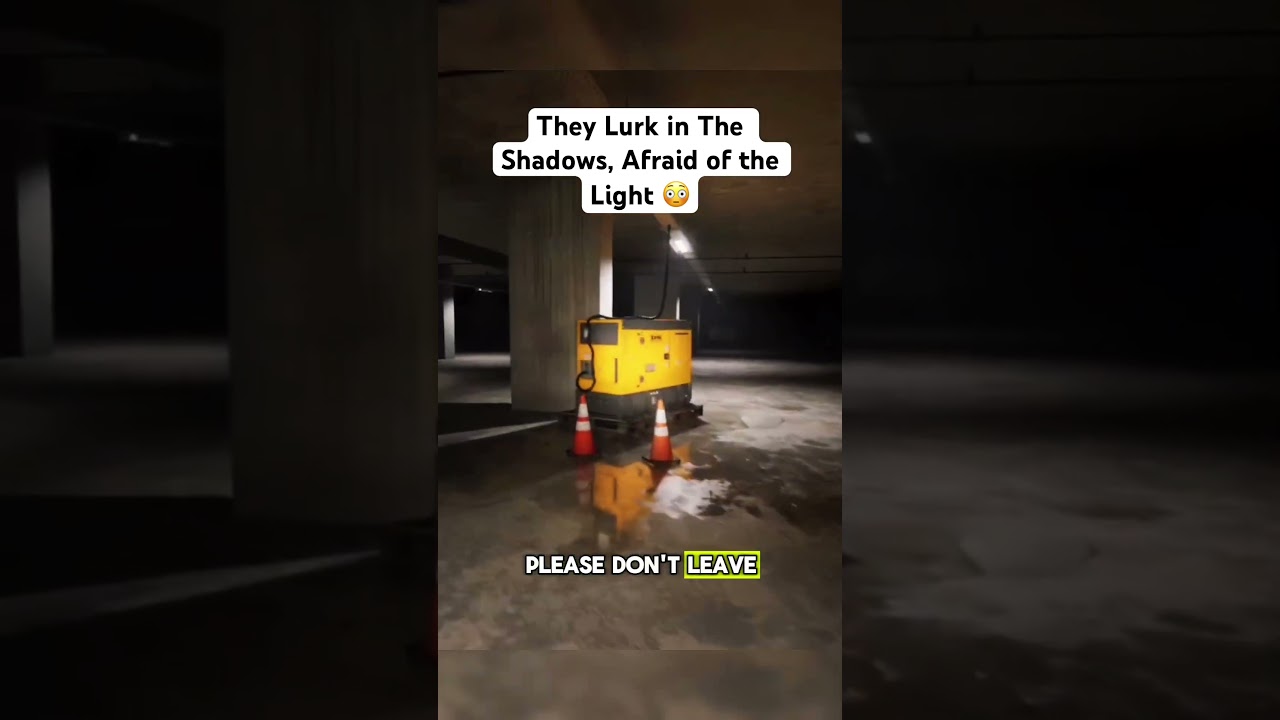 turn that flashlight on ASAP ‼️ 