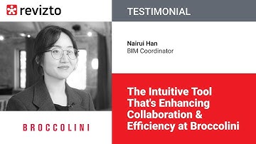 Revizto Testimonial: The Intuitive Tool That