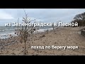 из Зеленоградска в Лесной  - пвд по берегу моря 12.2.2023