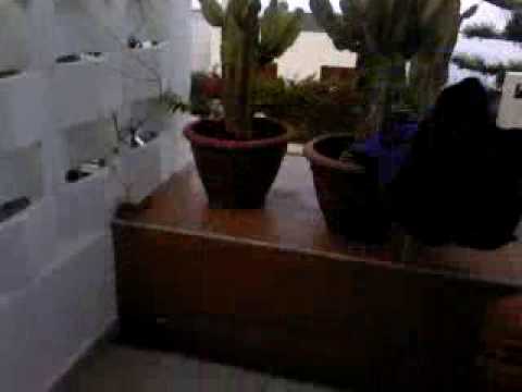Man flung into cactus, shocking