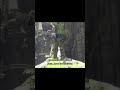 Trico's wee Jobbies - Gaming Highlight