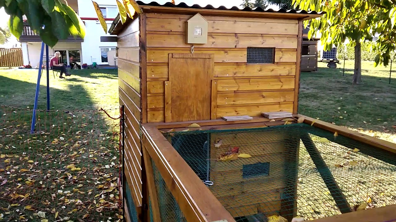 3) Glückliche Hühner  - Traktor, Chicken  -  Tractor, Mobiler Hühnerstall, Hühnerhaltung