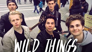Alessia Cara - Wild Things (Cover by Beside The Bridge)