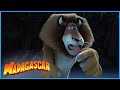 DreamWorks Madagascar | Arrive On The Island | Madagascar Movie Clip