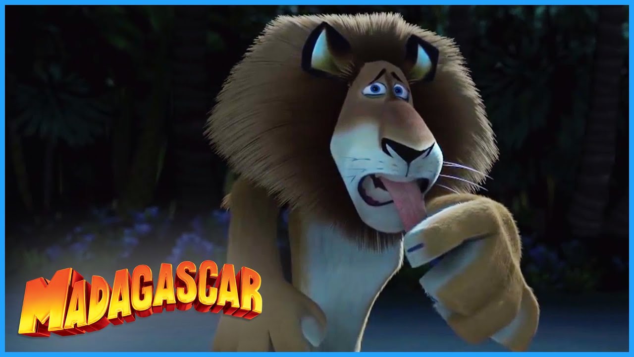 ⁣DreamWorks Madagascar | Arrive On The Island | Madagascar Movie Clip