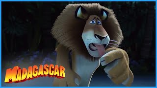 DreamWorks Madagascar | Arrive On The Island | Madagascar Movie Clip
