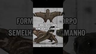 EVOLUÇÃO CONVERGENTE #dinossauros #curiosidades #bizarro #shorts