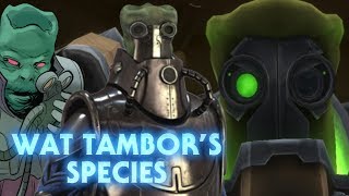 What Wat Tambor REALLY looks like | Skakoan Species Biology, Society, and History