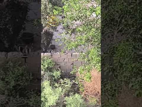 عربيد في حي الحويقةيرجى النشر لأخذ الحيطة والحذر