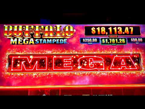 THE GREATEST BUFFALO VIDEO ON YOUTUBE