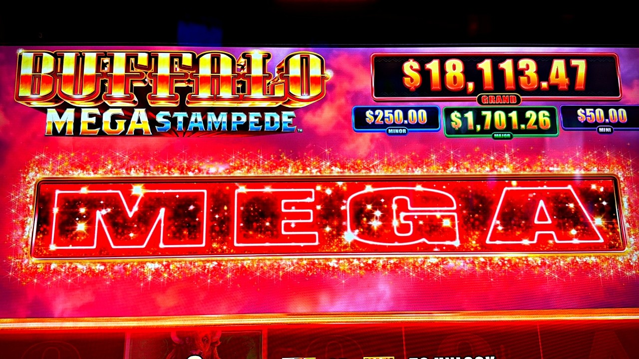 THE GREATEST BUFFALO VIDEO ON YOUTUBE