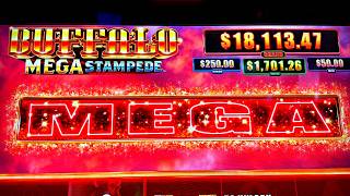 THE GREATEST BUFFALO VIDEO ON YOUTUBE screenshot 4