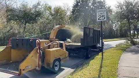 CÔNG NGHỆ CẮT TỈA CÂY XANH ĐƯỜNG PHỐ Ở MỸ