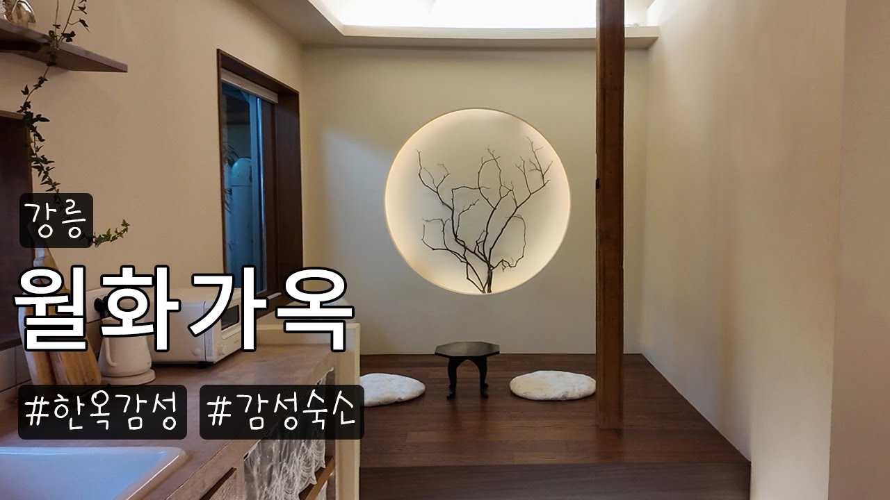 자쿠지와 대나무 정원, 강릉의 모던한 독채 한옥 숙소 브이로그