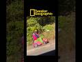 Tweaker Geographic Episode 95: “Methcedes-Benz”