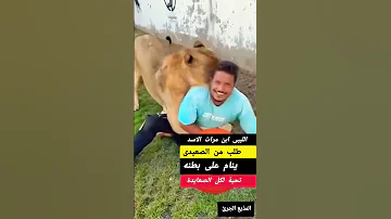 شخص ليبي يحرض اسد لترهيب شاب مصري صعيدي الصعايدة صعيدي 