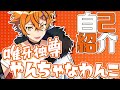 【自己紹介】唯牙独尊！ やんちゃな自由奔放わんこ！ / 唯牙コハク【しゅがすて】