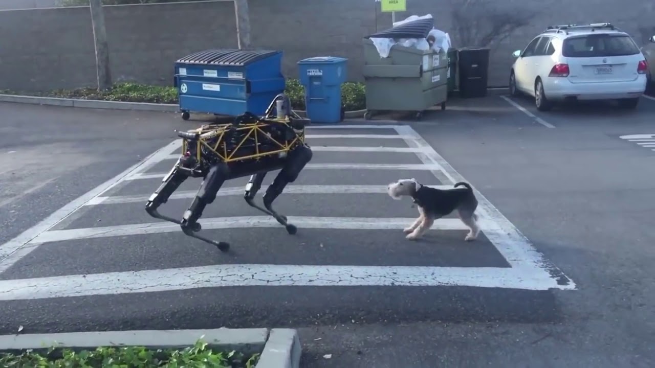 The Evolution of boston dynamics