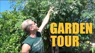 Arizona Garden Tour - Over 200 Fruit Trees on Acre