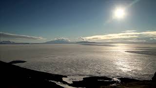 New Anemone Discovered That Lives In Antarctica's Ice