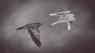 Destiny 2 - Season Of The Lost A Hollow Coronation - Uldrens Story Of Rega And Ager Cutscene