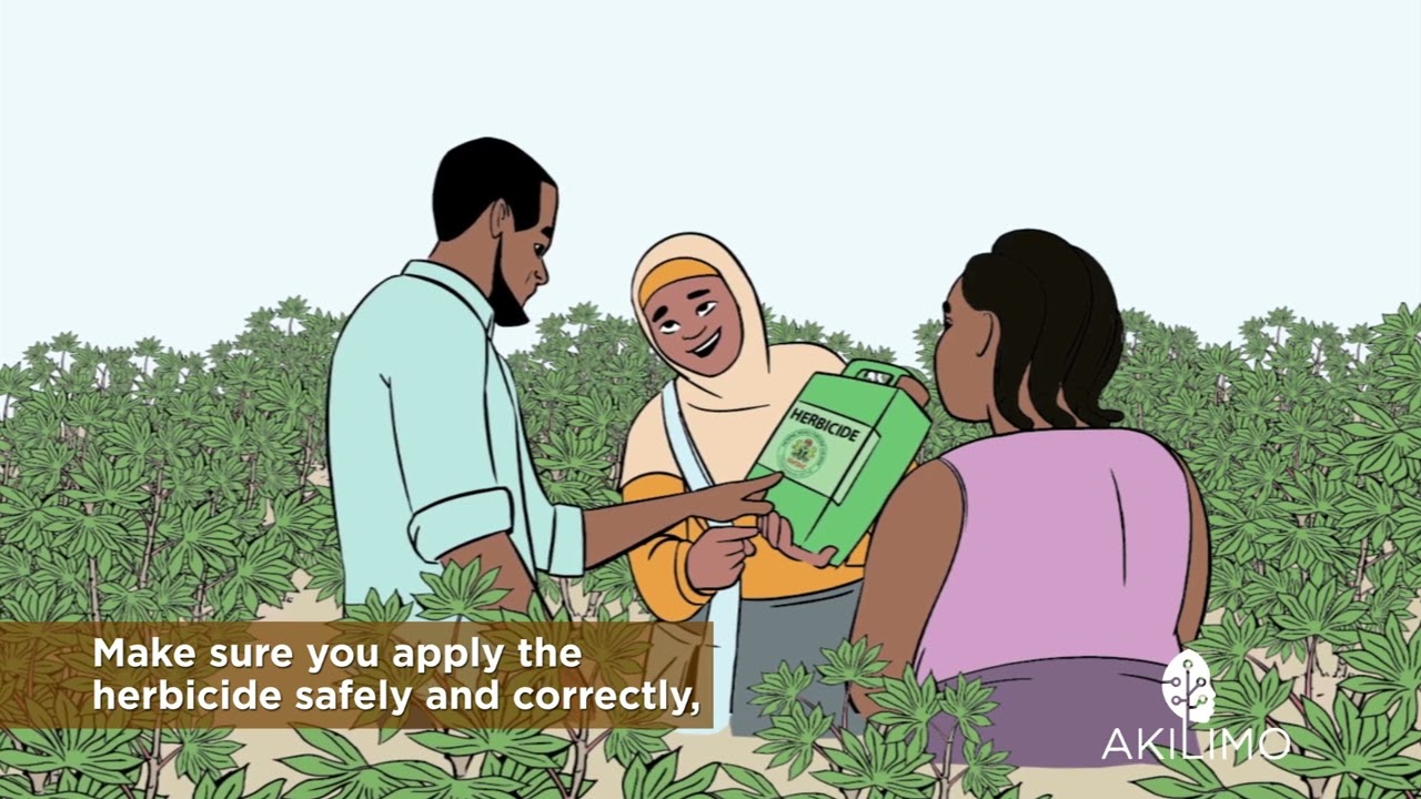 Best planting practices & weed control 13