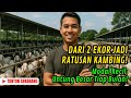 PEMULA WAJIB TAHU..! LANGKAH LENGKAP TERNAK KAMBING SAMPAI JUAL RIBUAN EKOR!