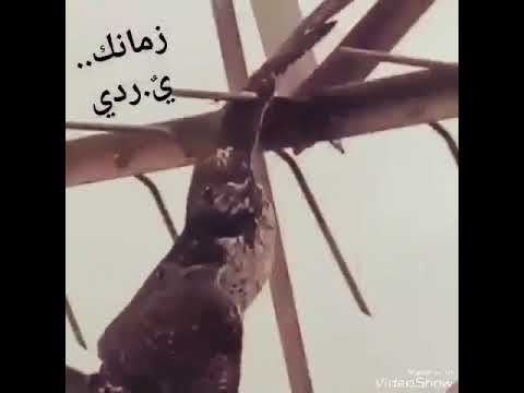 جيت أشتكي من الوقت حالات واتس 