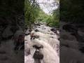 #short #shorts #trending #trend #viral #viralvideos #video #travel #travelvlog #traveling #meme