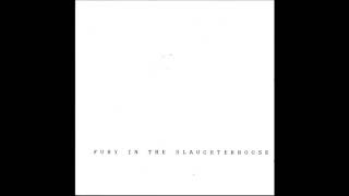 Fury In The Slaughterhouse - Time To Wonder (1988)