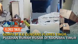 A 4.6 magnitude earthquake struck East Flores, damaging dozens of houses in East Adonara.