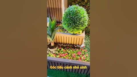 Góc tiểu cảnh nhỏ xinh