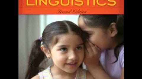 Fundamentals in linguistic anthropology: socio-linguistics (General introduction to anthropology)