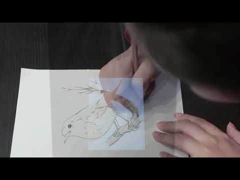 Optical Projector Drawing Aid